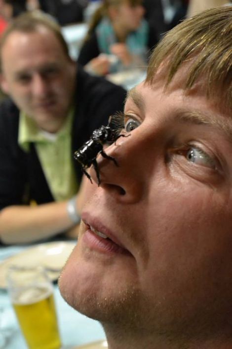 Přihořívá