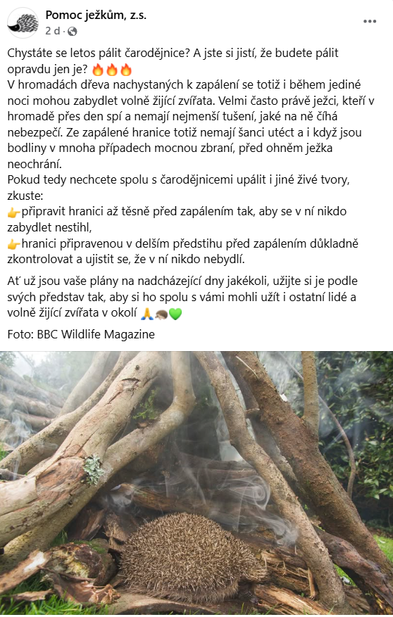 Leták